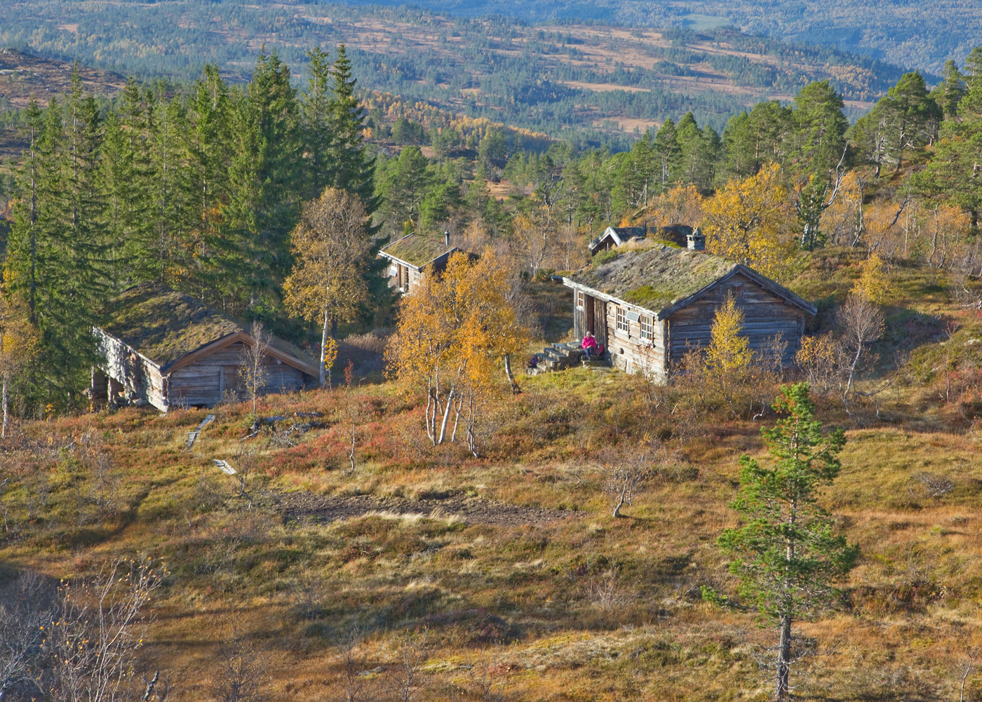 181005r-seter.jpg