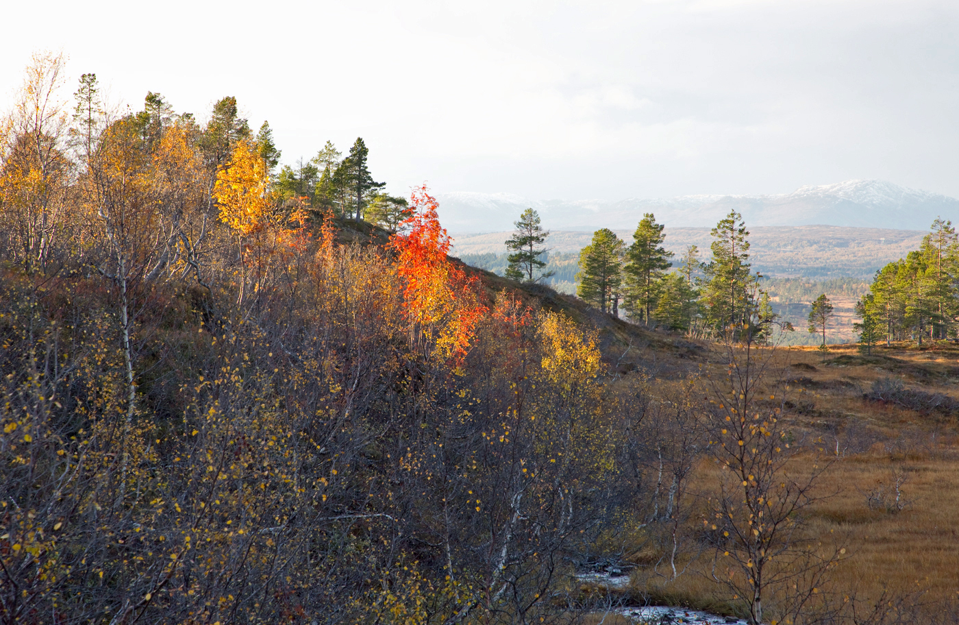 181005s-høstfarger.jpg