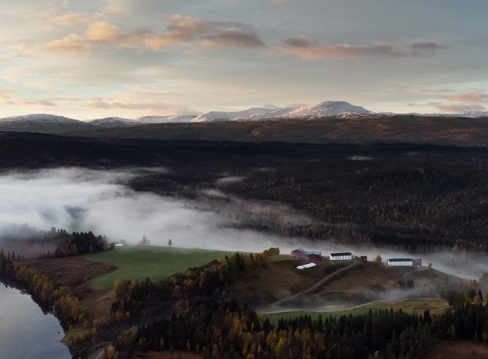 101018 toringehalvorsen
