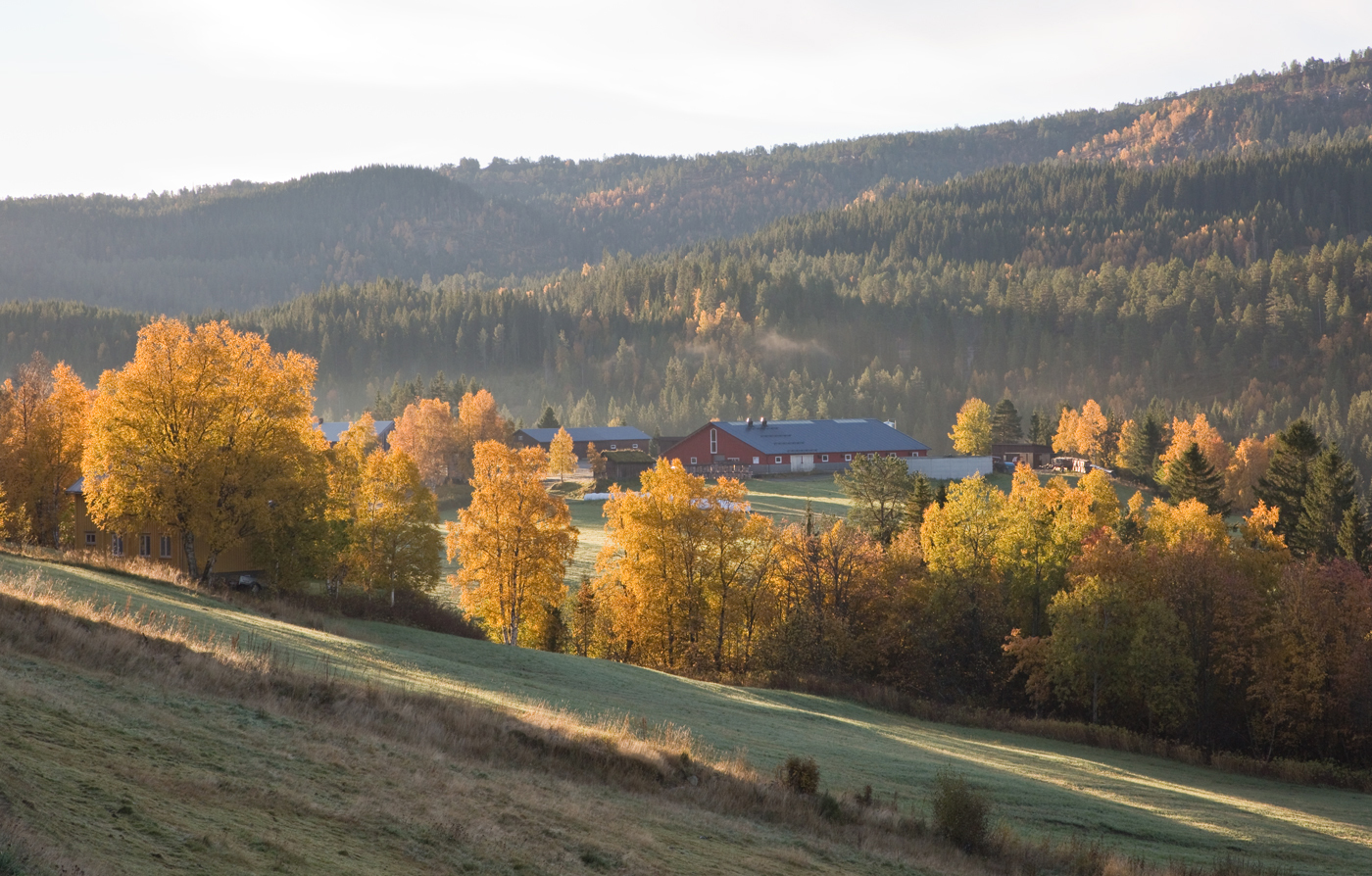 181010b-Negardsmoen.jpg