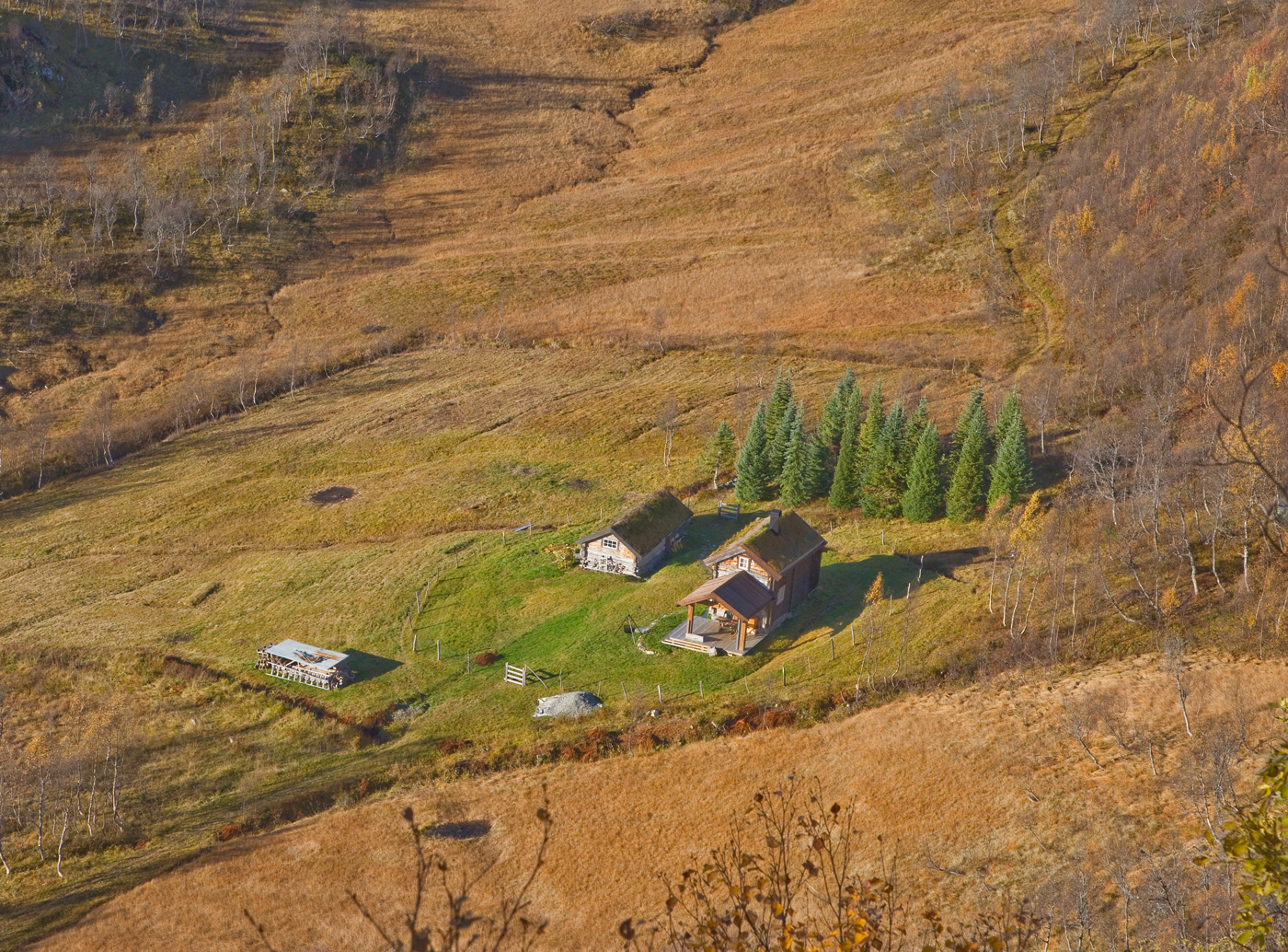 181010g-Mjuksetra.jpg