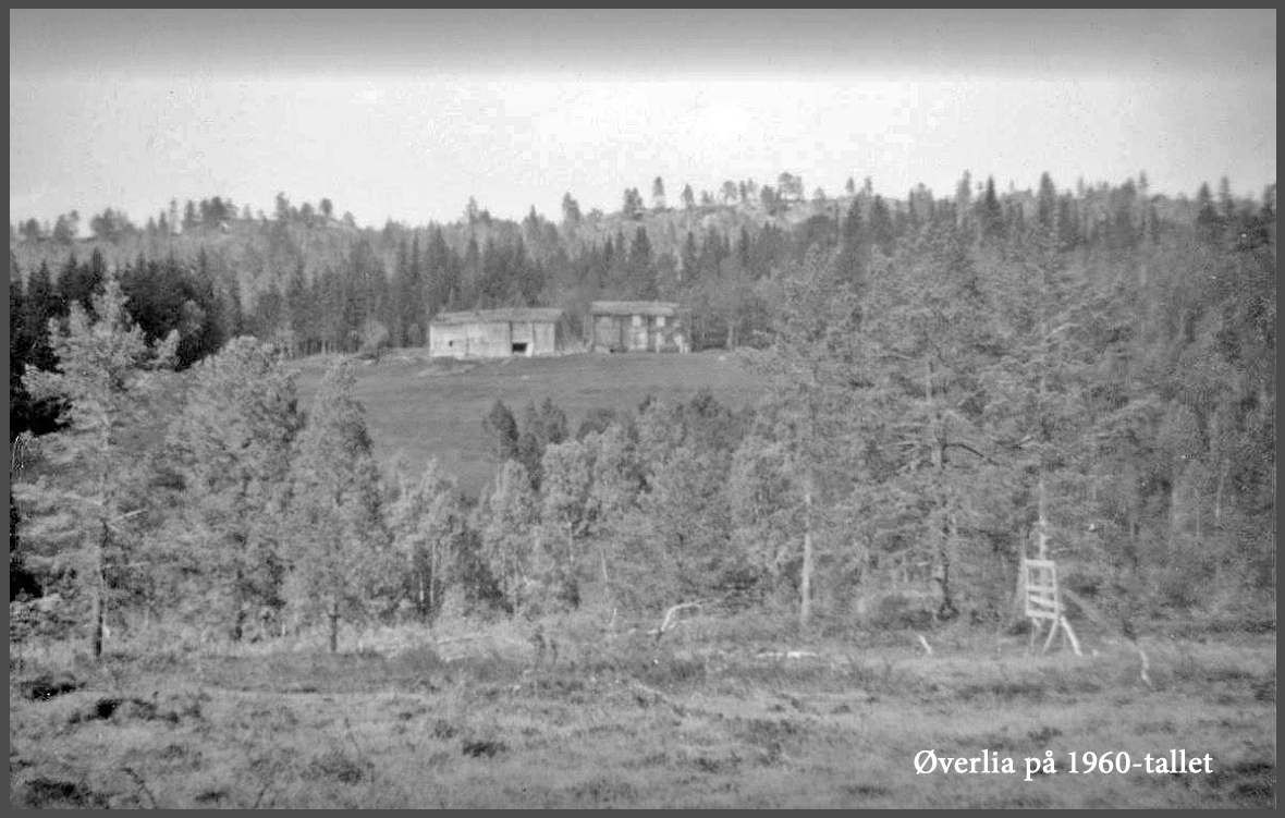 180928gg-Øverlia.jpg