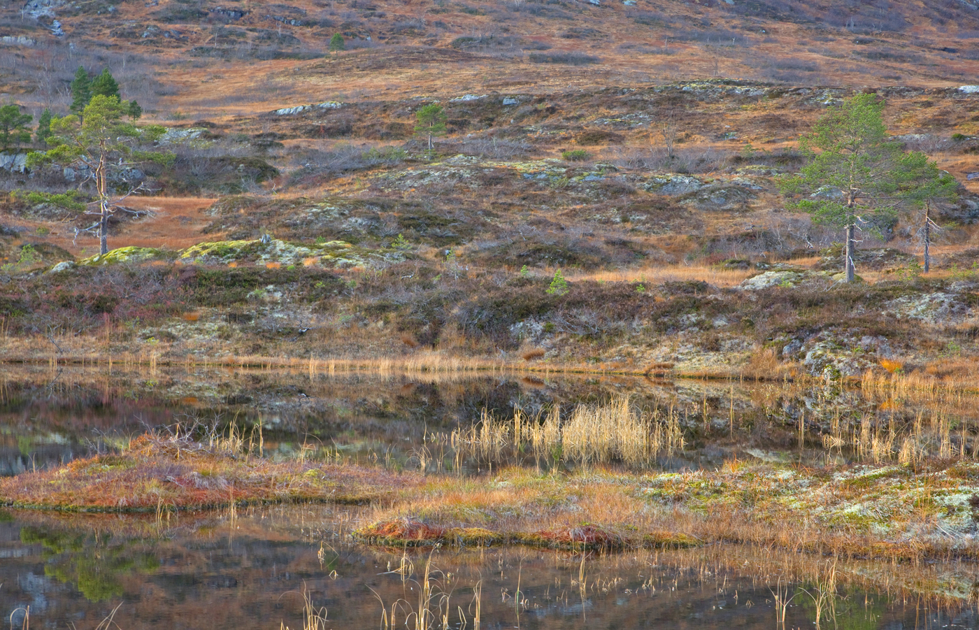 181016l-tjern.jpg