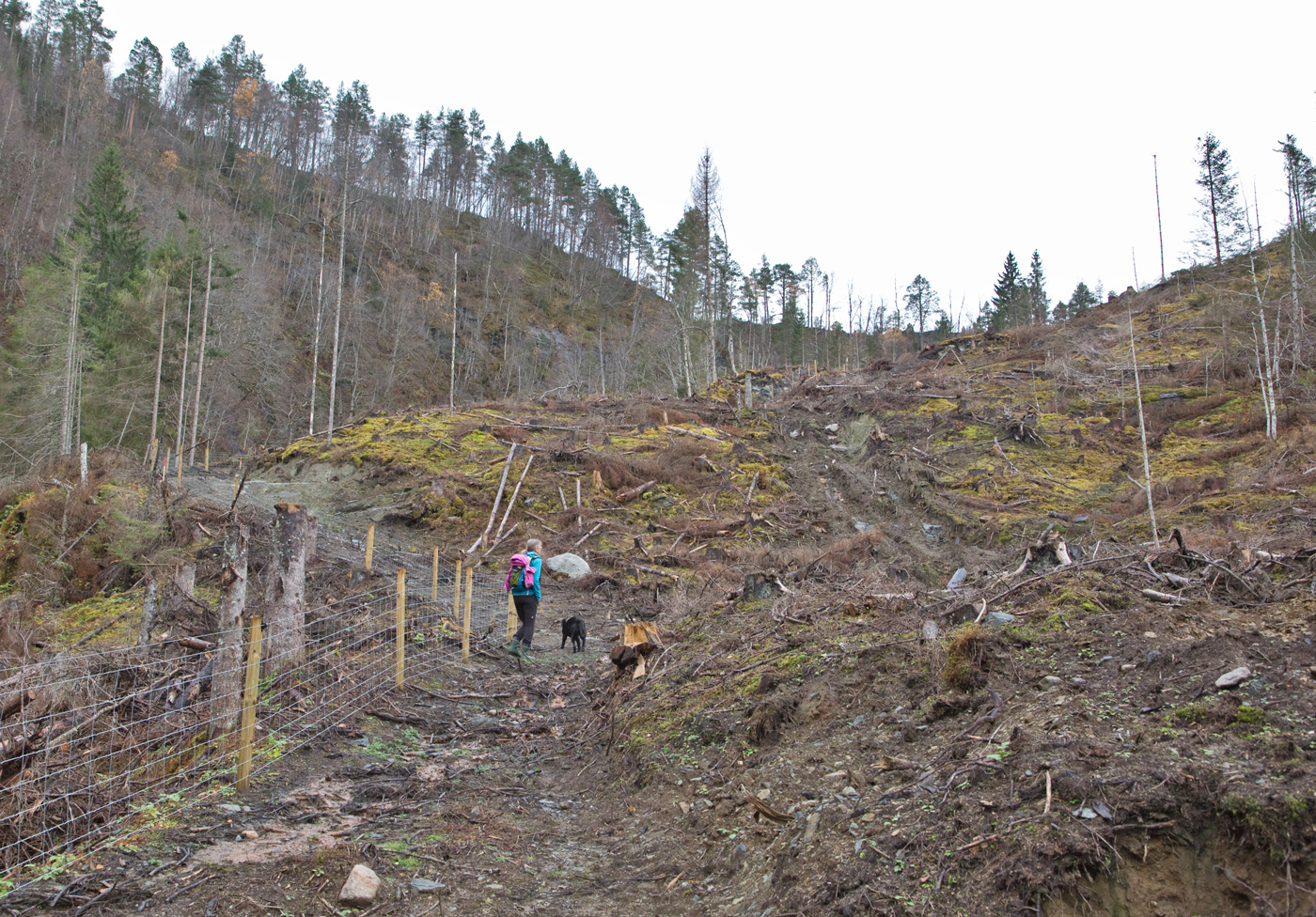 181019b-snauhogst.jpg