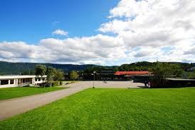 vik skole