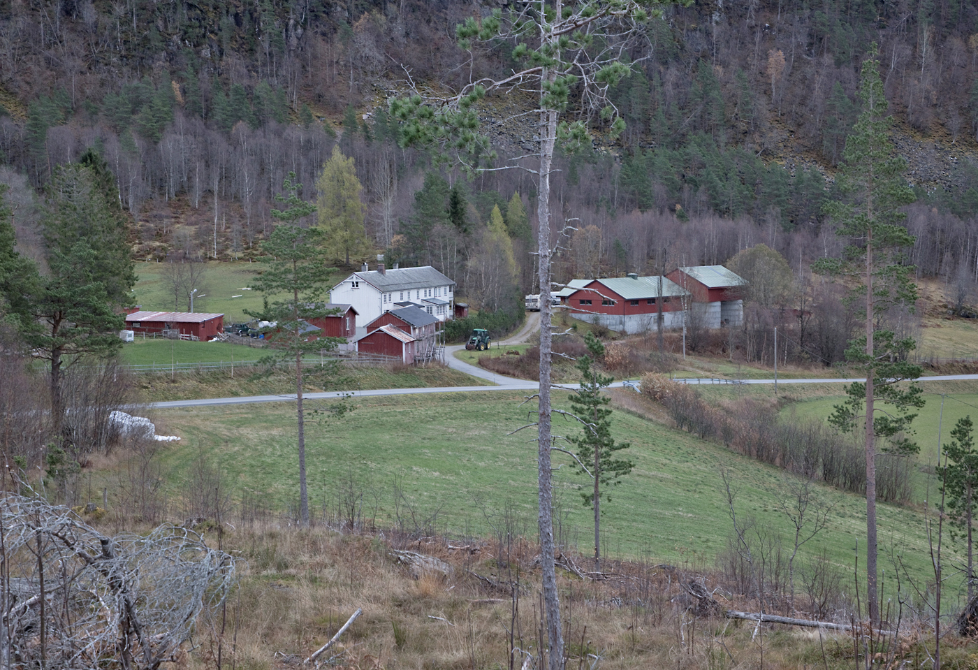 181101b-Åsbøen.jpg