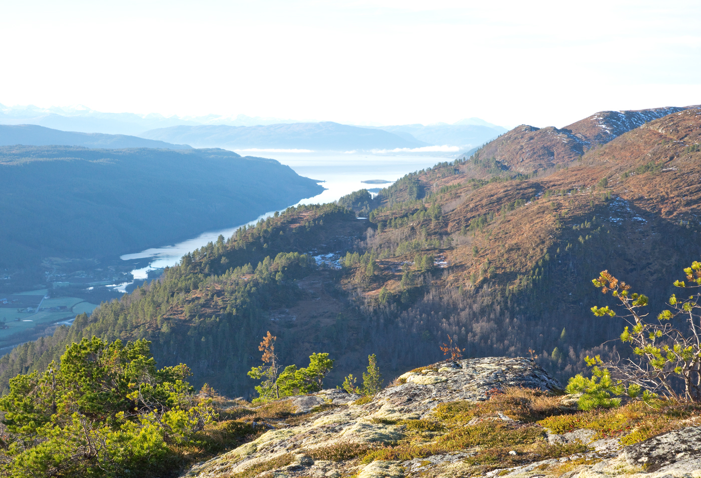 181109e-fjord.jpg