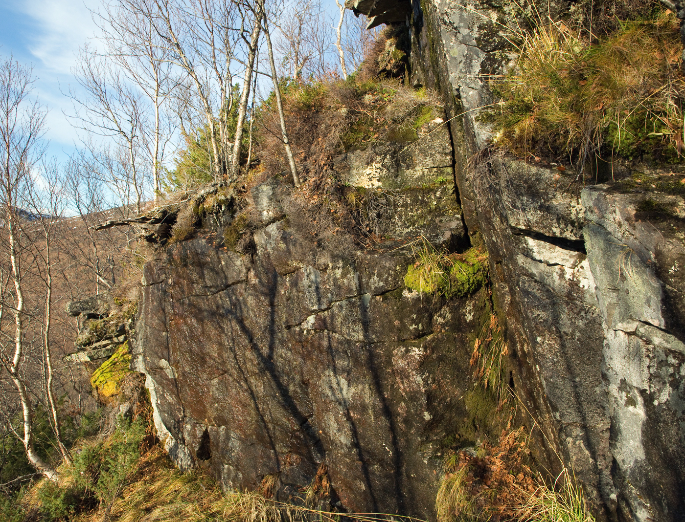 181109m-berg.jpg