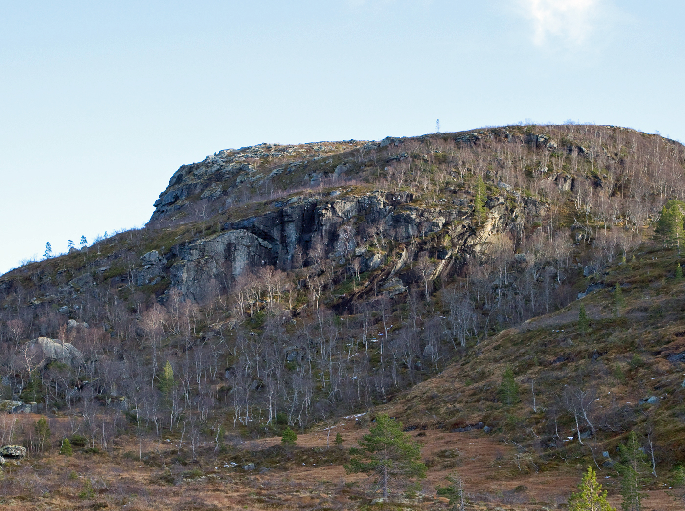 181109o-fjellide.jpg
