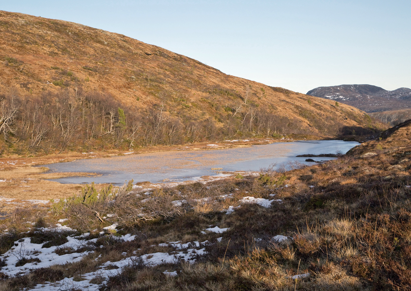 181109p-tjønna.jpg