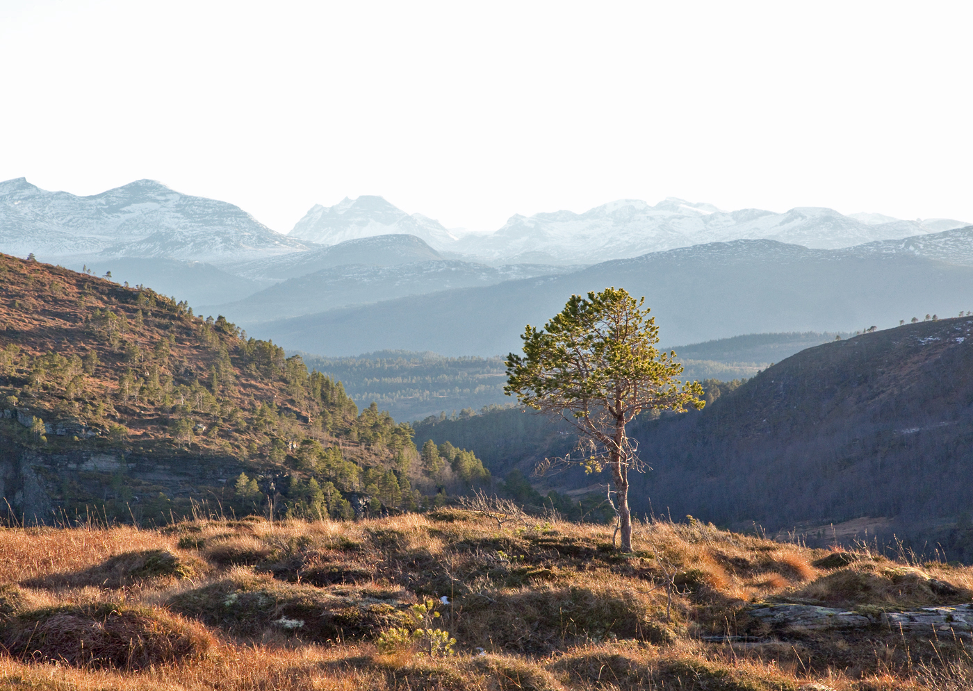 181109t-fjell.jpg