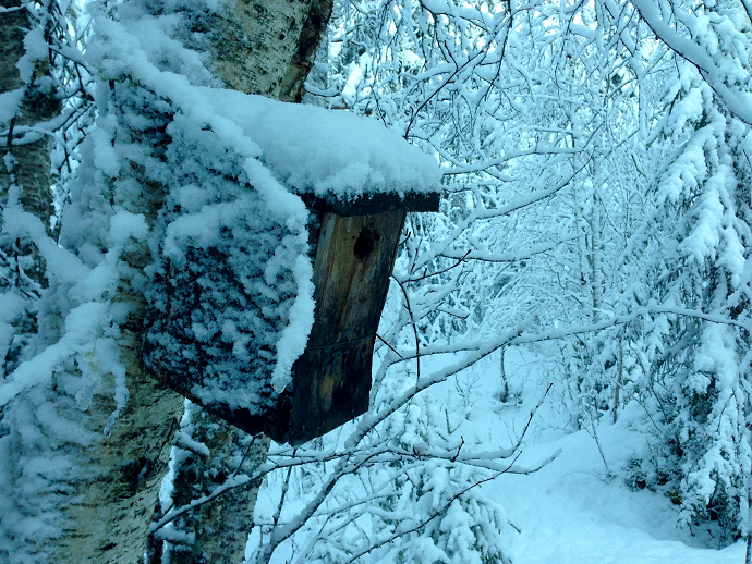 06122018 Ingeborg Landsem