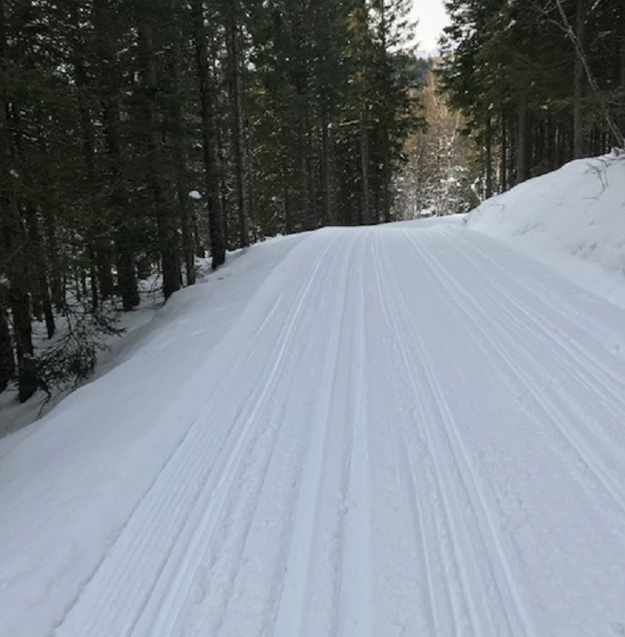 Skispor til Fossdal`n.png