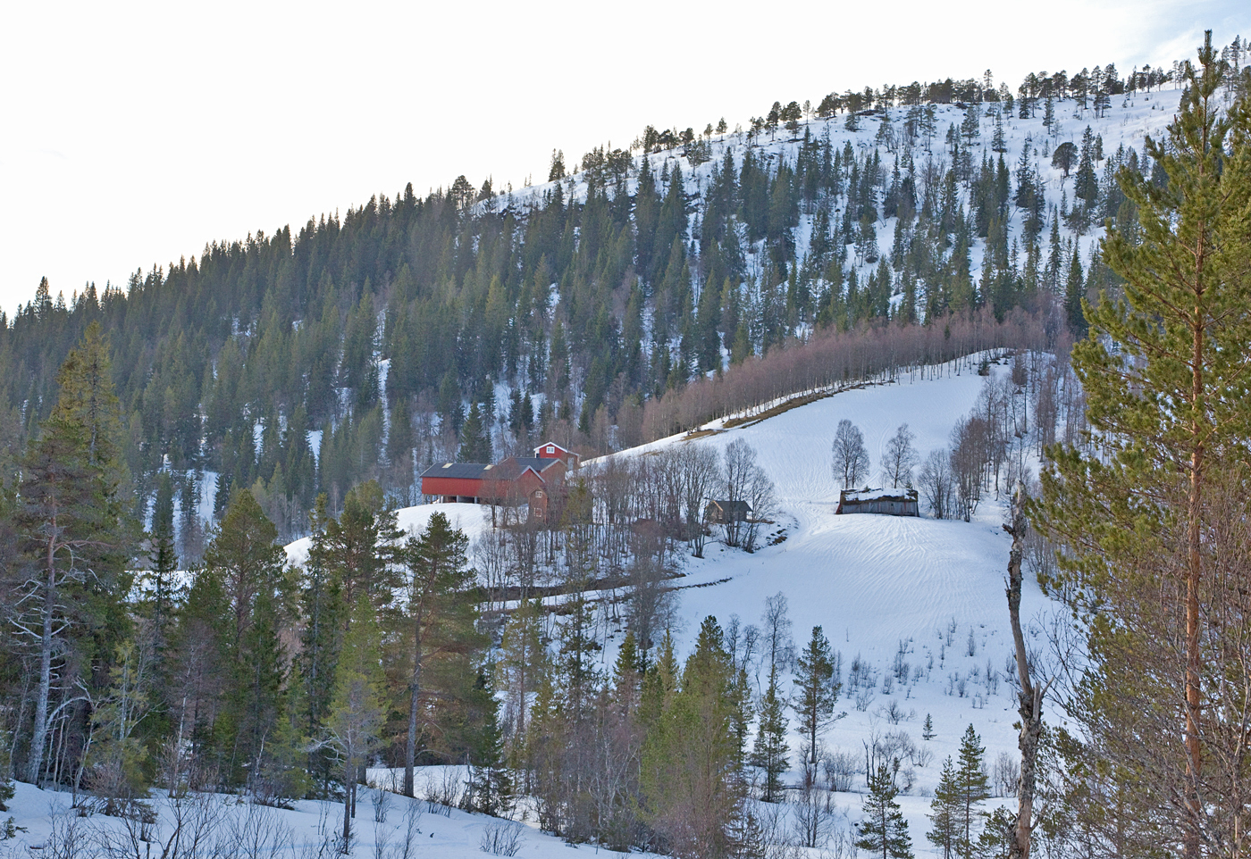 190218c-Stuggudalen2.jpg