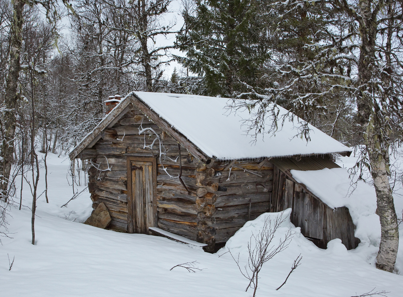 190301nn-tømmerhus.jpg