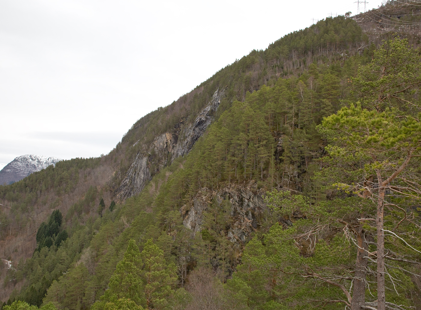 190322h-Hamran.jpg