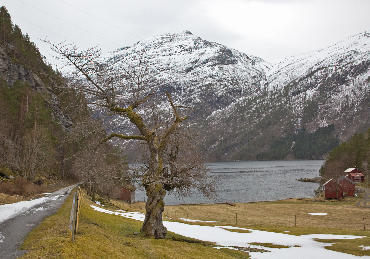 190322r2-Rambjøra.jpg