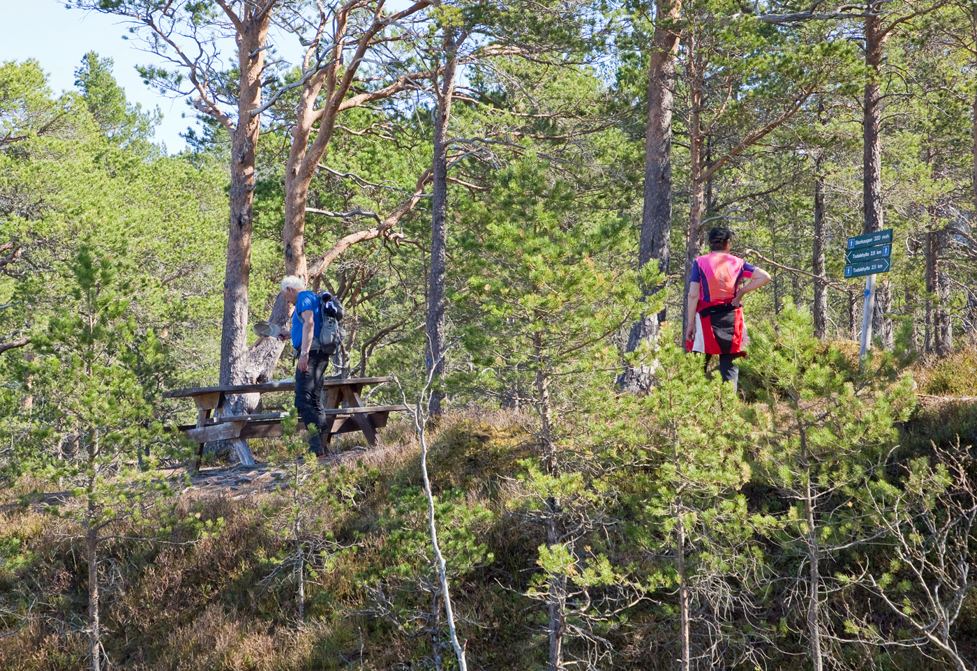190423e-Storhaugen.jpg