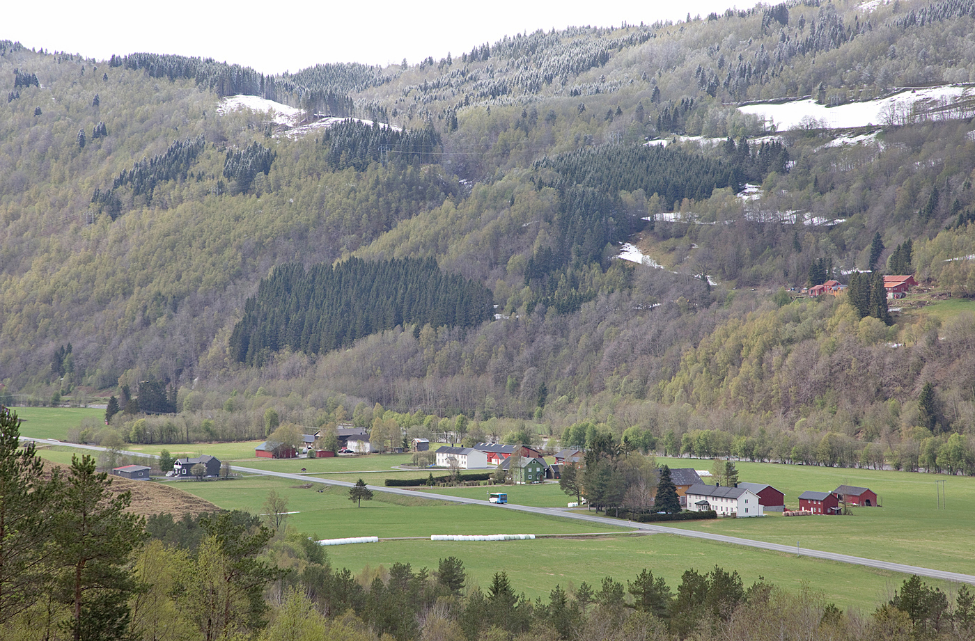 190503o2-Børsetgrenda.jpg