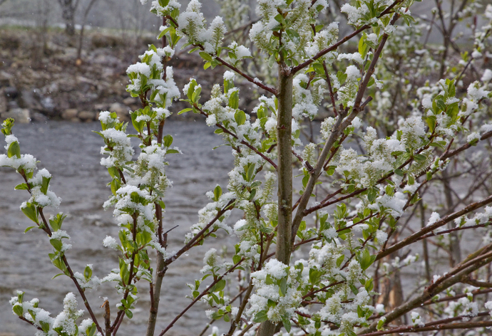 190503i-nysnø.jpg