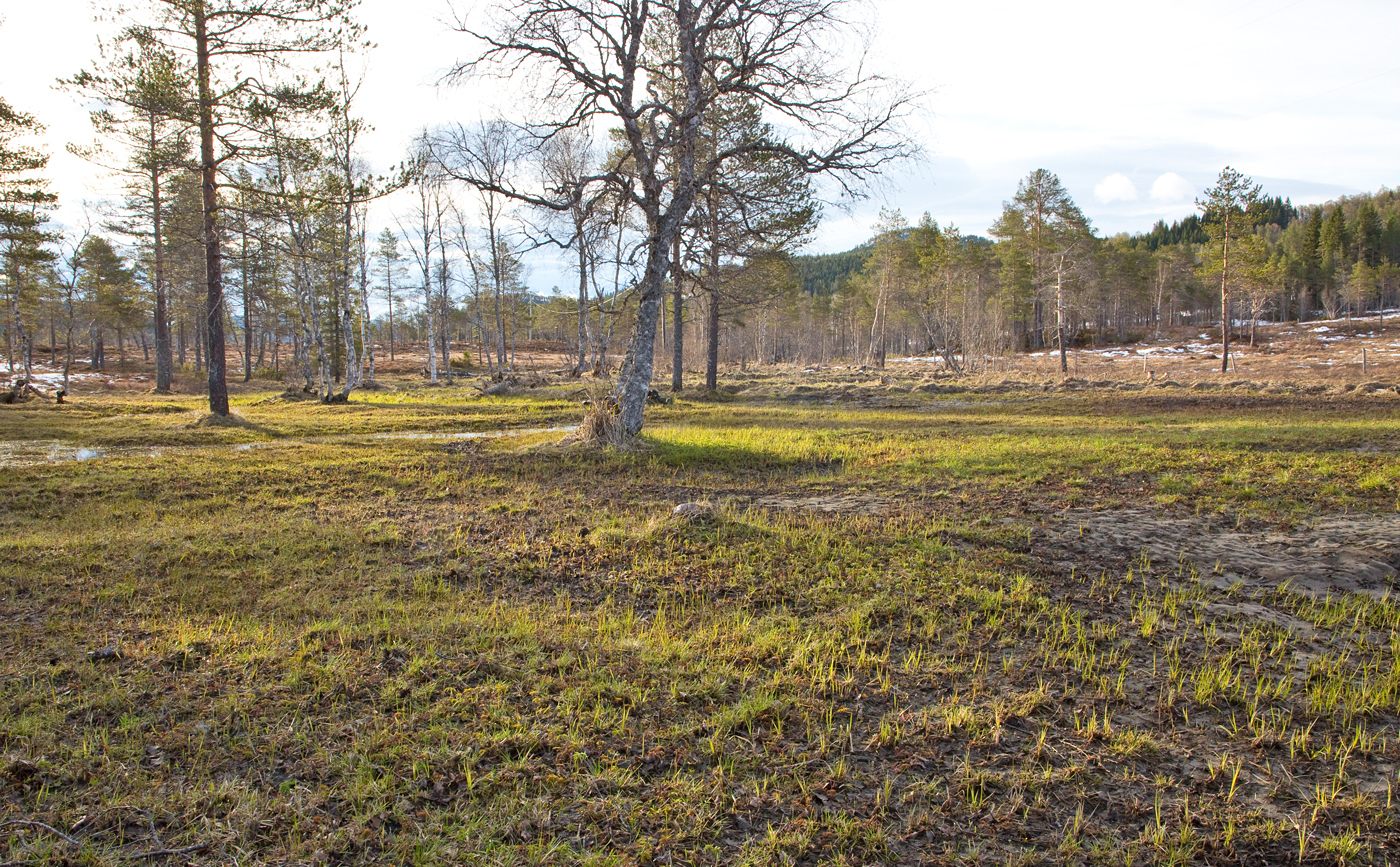 190510i-slåttemyr.jpg