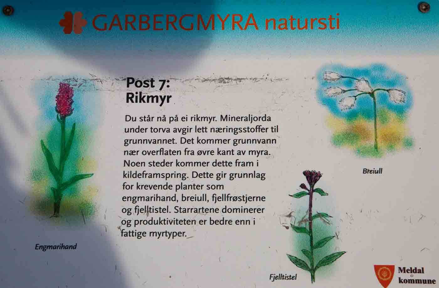 190510m-infoplakat.jpg