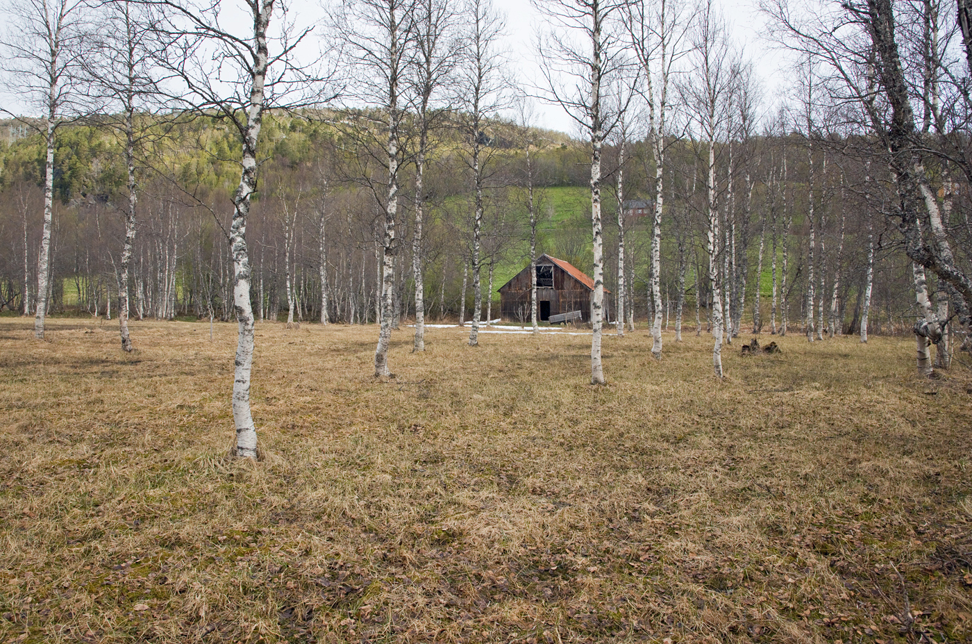 190510o-slåttemyr2.jpg
