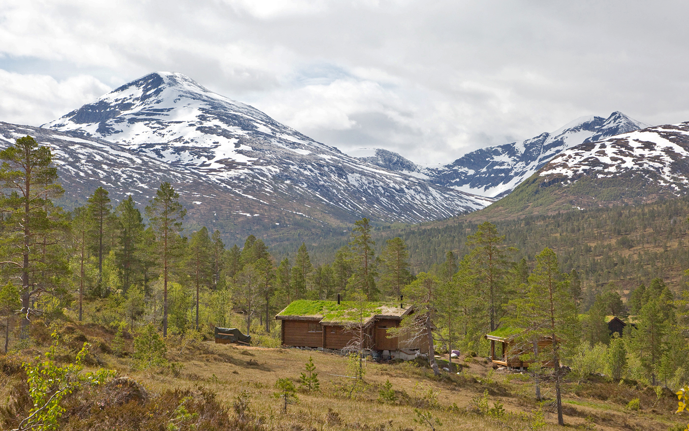 190529e-Snota.jpg