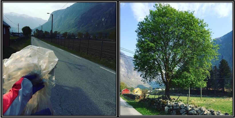 Ryddeaksjonen