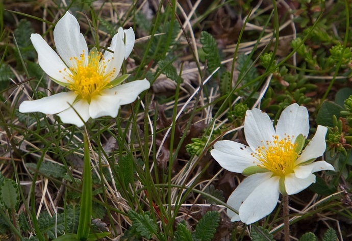 tirsdagsturen18.juni12_690x473.jpg