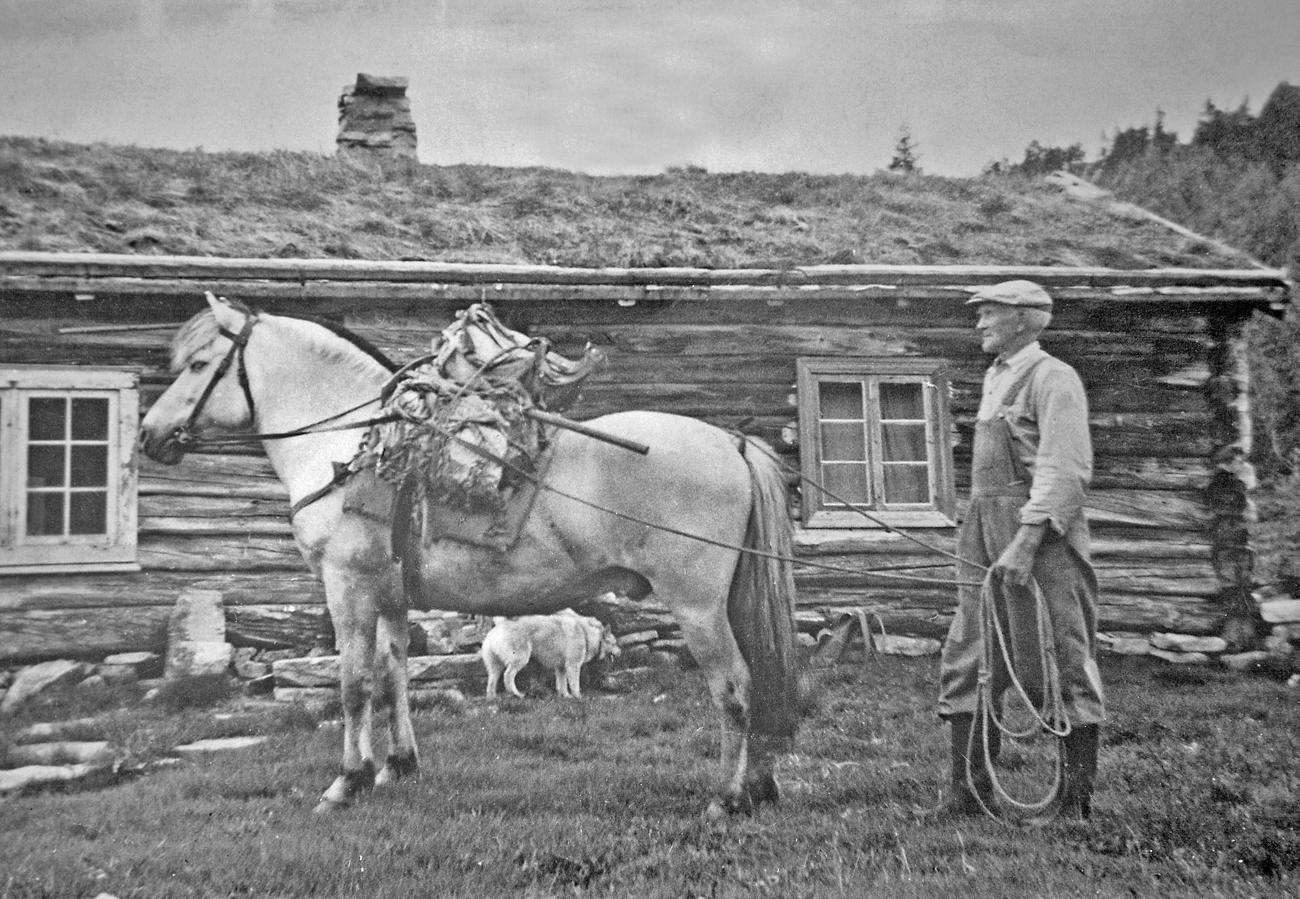 190626f-Eldjønnbua.jpg
