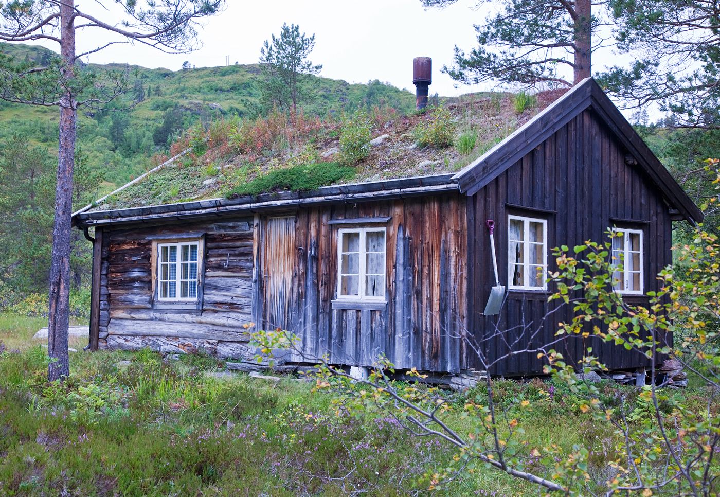 190626h-høstbilde.jpg