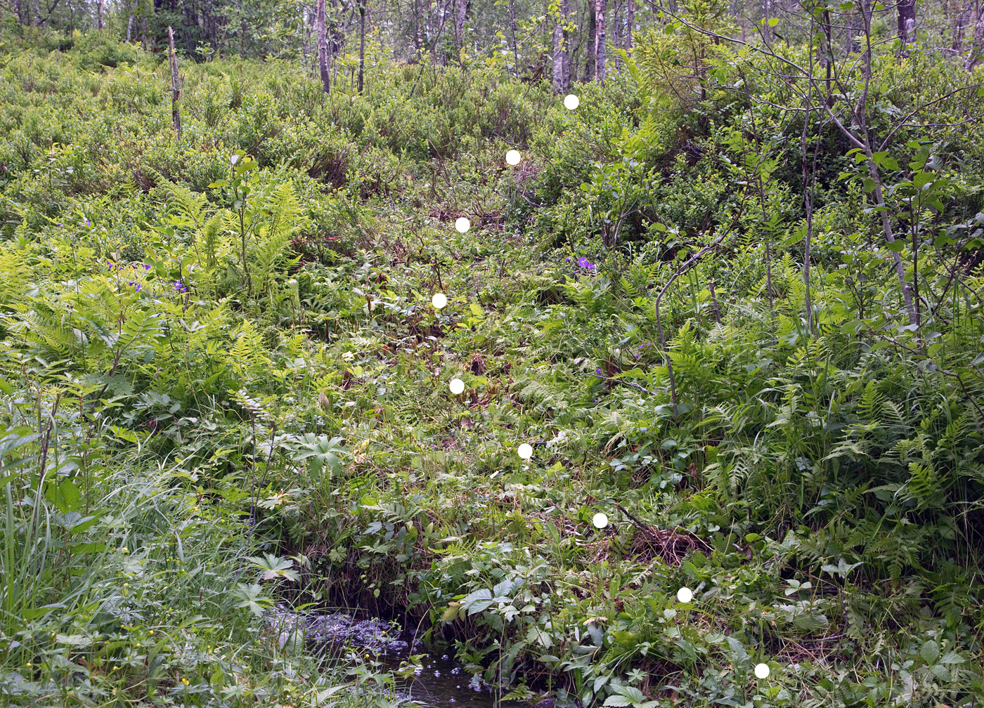 190629e-rydding.jpg