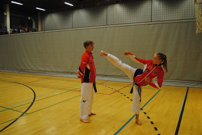 taekwondo spark aurora.jpg