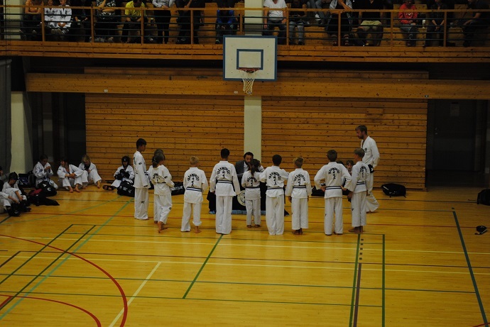 taekwondo samling.jpg