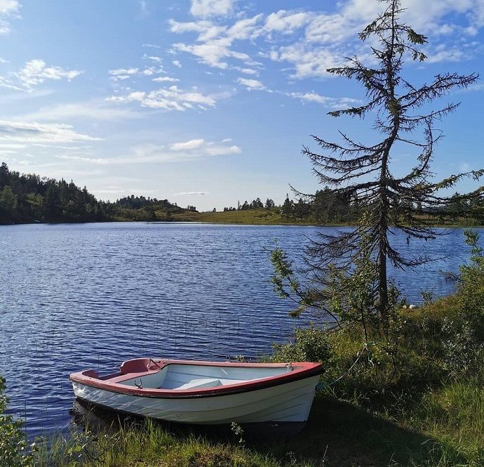 11082019metteormset