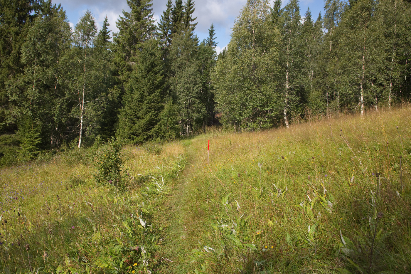 190815g-slåttemark.jpg