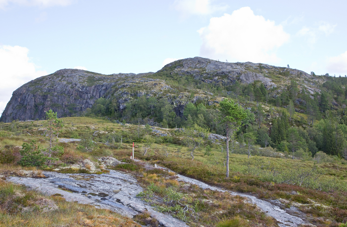 190815o-fjell.jpg