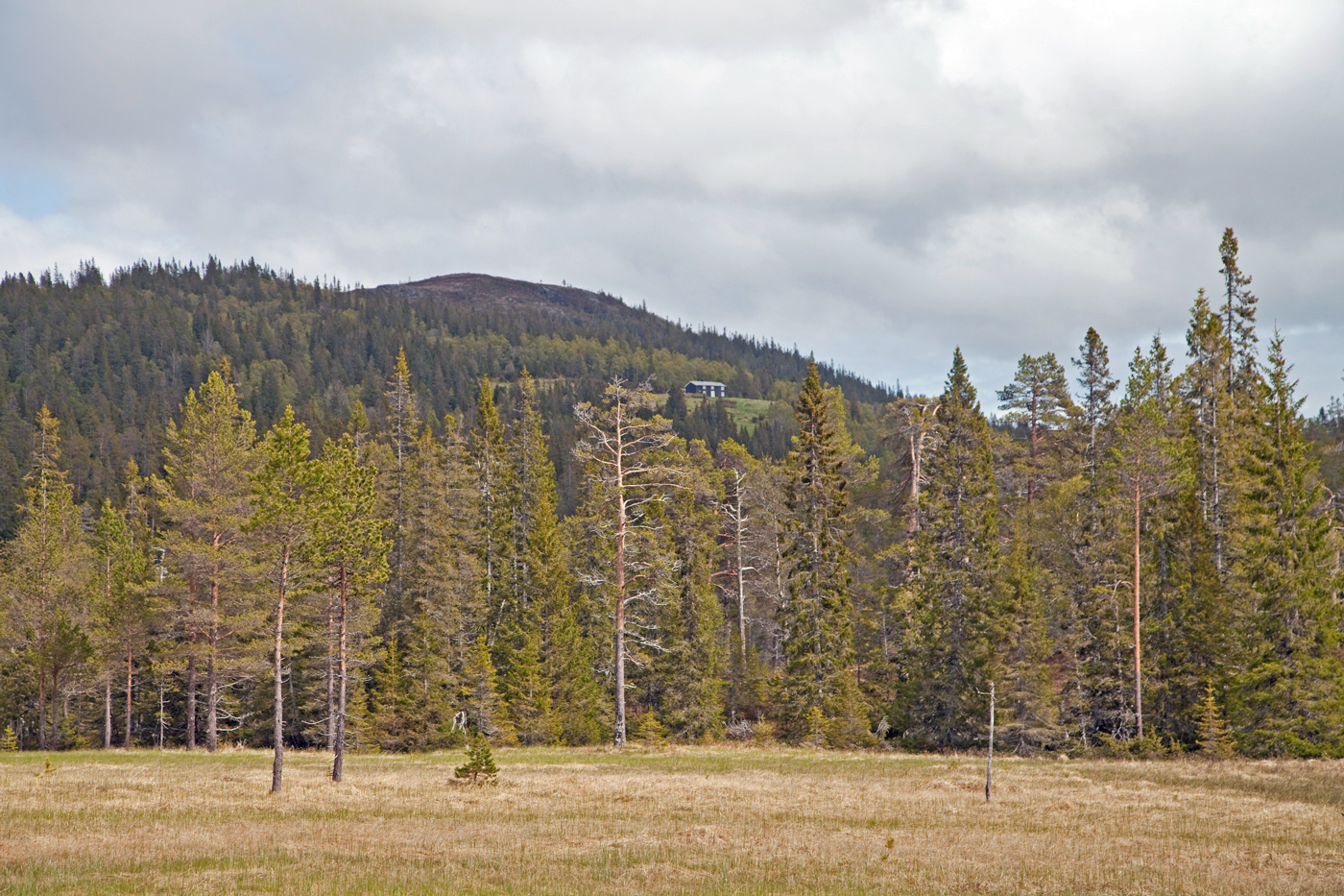 190815q-Grytdalen.jpg