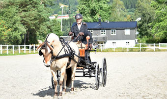 anders sæther moen solli rhea