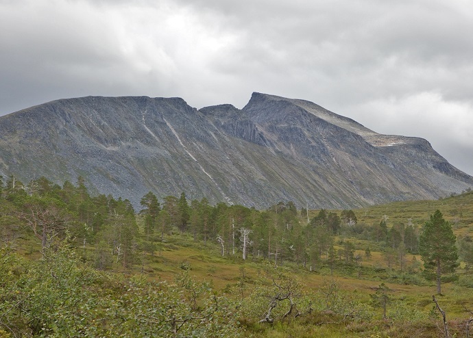 Snøfjellet1 200819.jpg