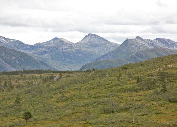 Romådalen200819.jpg