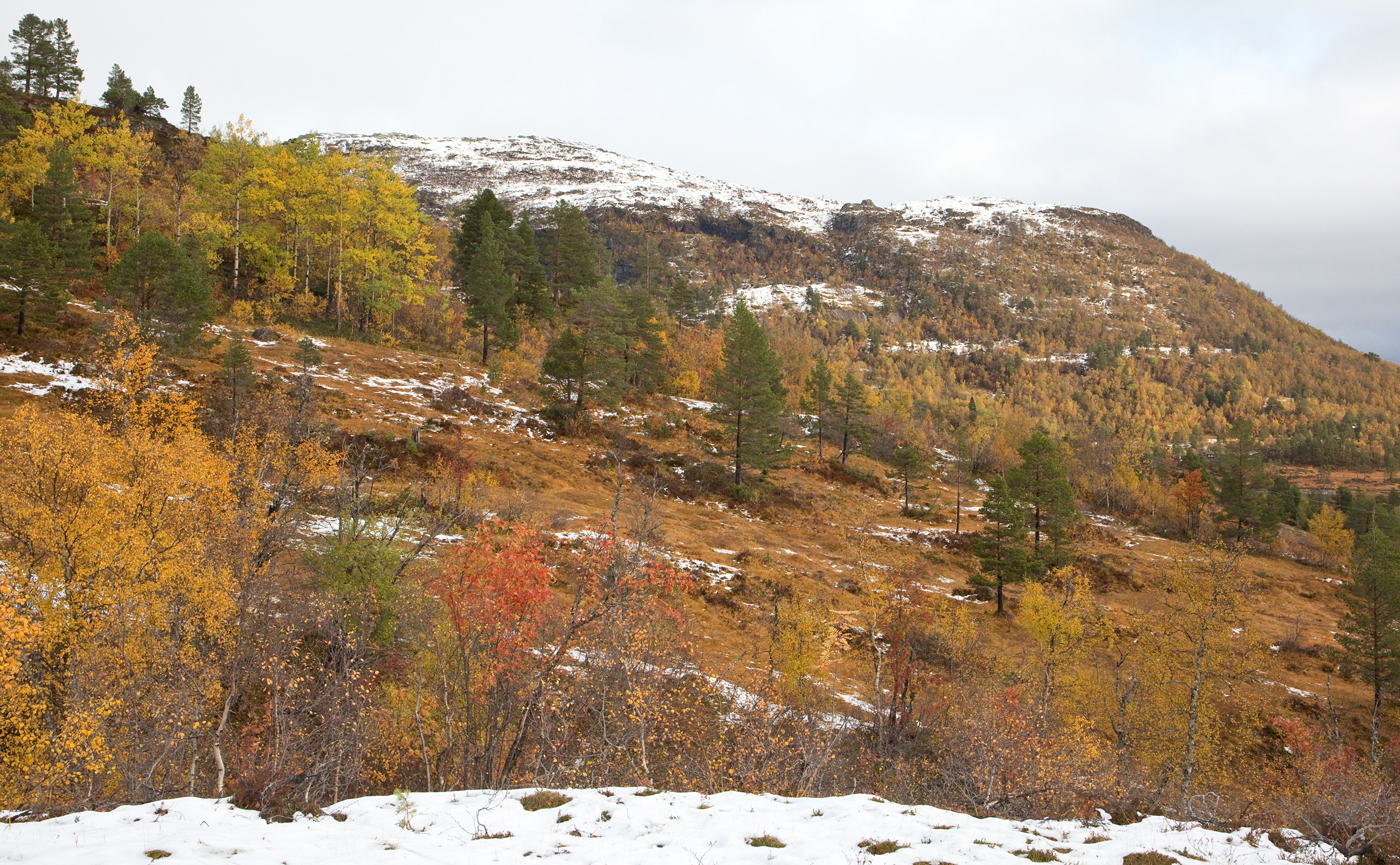 191003d-bakke.jpg