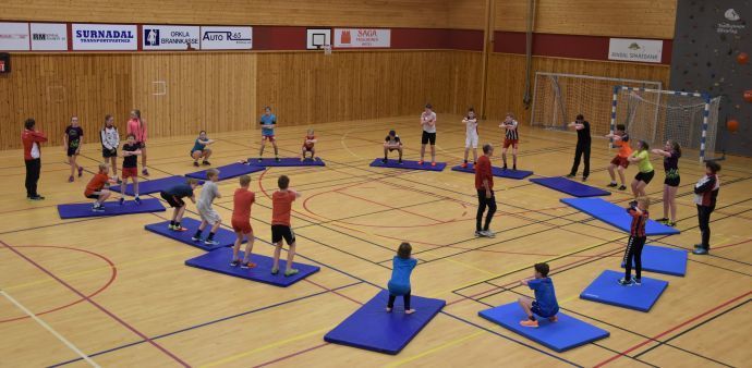 Ressurtrening ill foto RIL