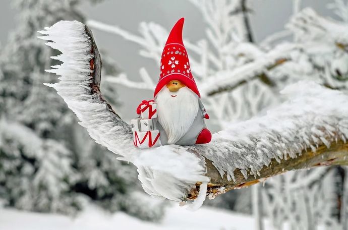 julebord illustrasjon bilde fra pixabay