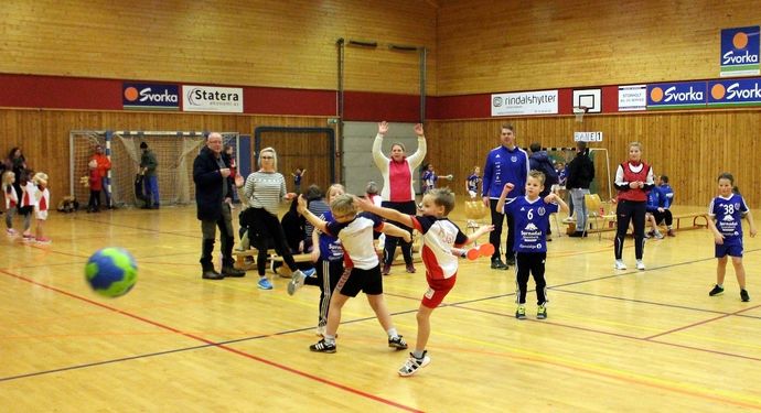 2019-11-30 Minihandballcup i Rindalshuset 076-002