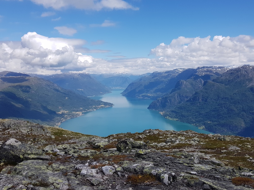 Annonsefoto_veterinær