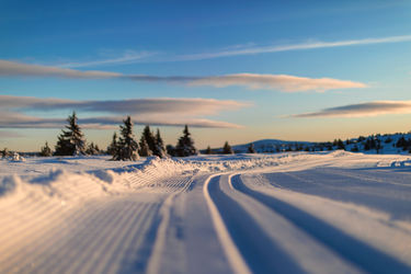 Foto av skiløyper