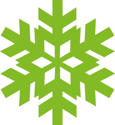 Snowbiz logo
