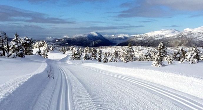 Nordmarka 190220